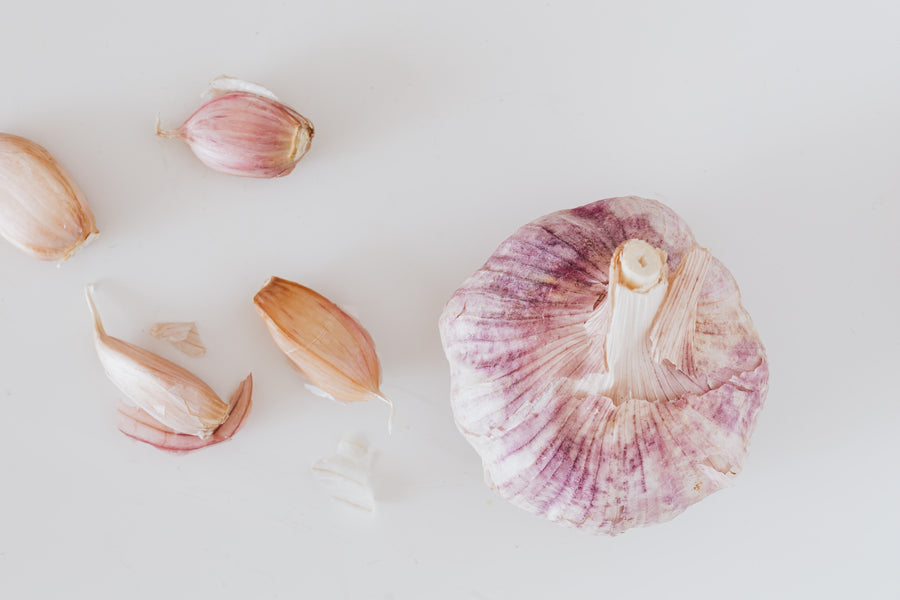 Is Garlic Bad For Dogs?