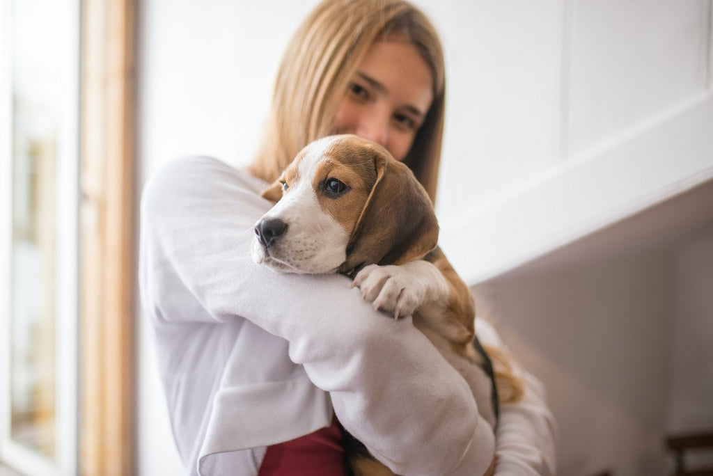 Do Dogs Have A Favorite Person?