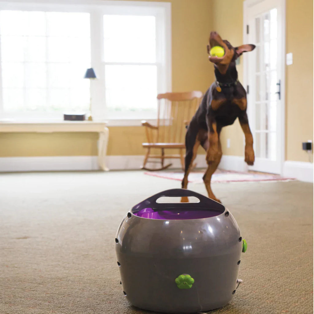 Fetch 2.0 - Save Your Arm With These Automatic Ball Launchers