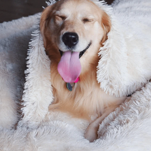 Paws & Pup Cozy Throw Blanket™