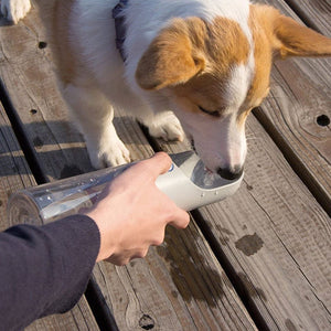 Portable Pup Drink Bottle